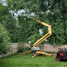 Best Pest Control for Lawns  in Honeyville, UT