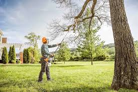 Best Lawn Grading and Leveling  in Honeyville, UT